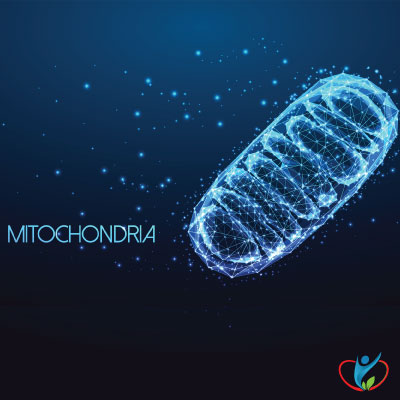 Blue-mitochondria-1
